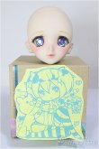 画像5: DDH-03/ファニラボ様カスタム/BJD　球体関節人形 A-26-01-07-114-NY-ZA (5)