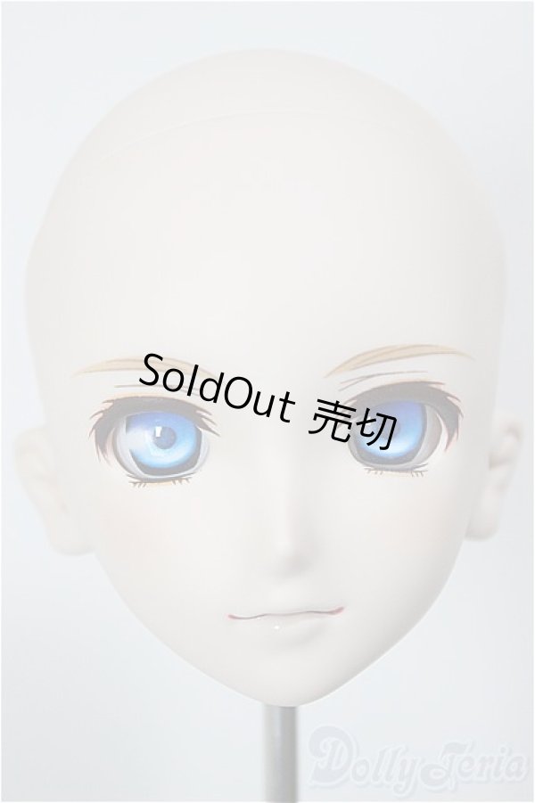 画像1: DD/シェリル・ノーム/BJD　球体関節人形 A-26-01-07-109-NY-ZA (1)