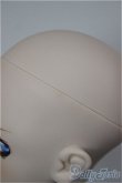 画像5: DD/シェリル・ノーム/BJD　球体関節人形 A-26-01-07-109-NY-ZA (5)