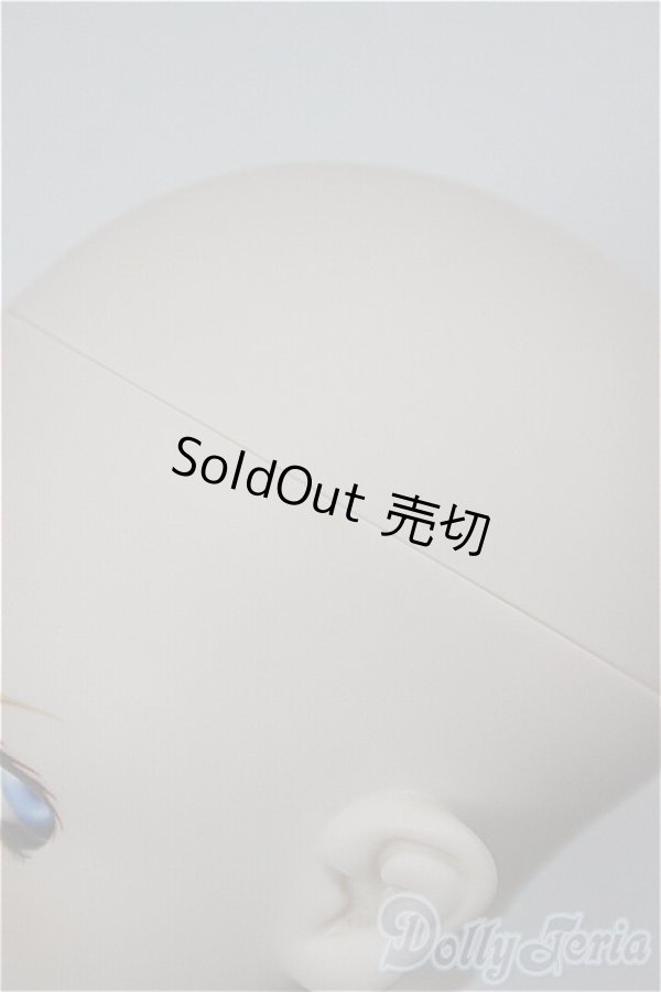 画像5: DD/シェリル・ノーム/BJD　球体関節人形 A-26-01-07-109-NY-ZA (5)