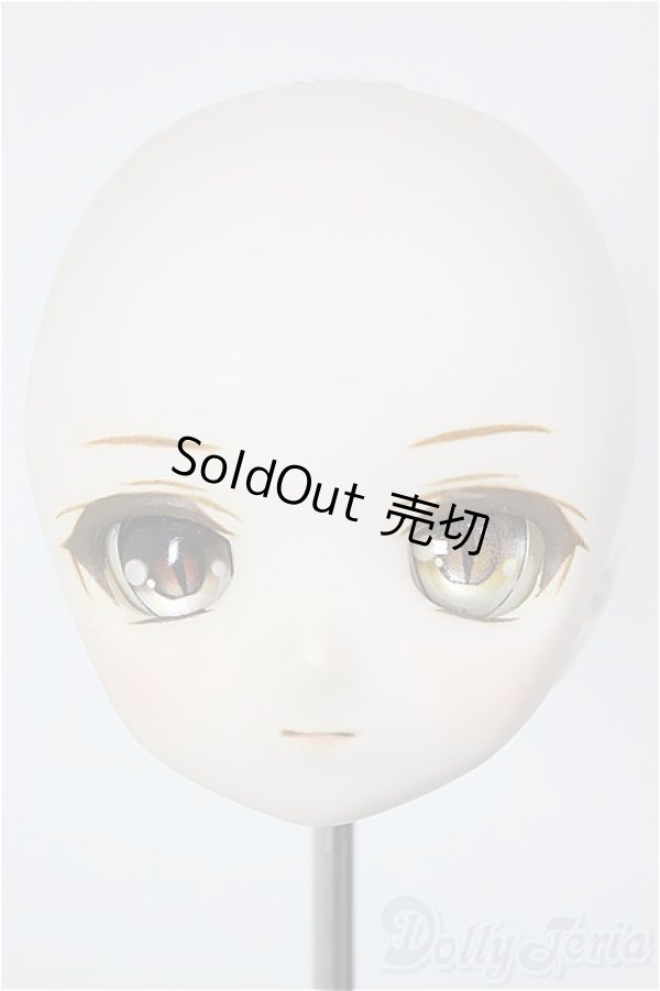 画像1: DD/DDH-01:カスタムヘッド/BJD　球体関節人形 A-26-01-07-113-NY-ZA (1)