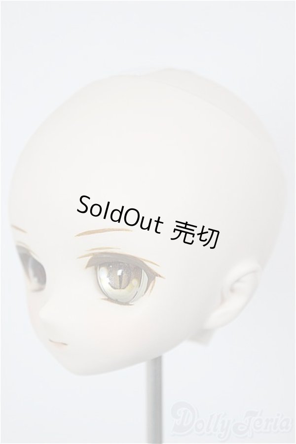 画像3: DD/DDH-01:カスタムヘッド/BJD　球体関節人形 A-26-01-07-113-NY-ZA (3)