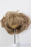 画像1: 9inch/ウィッグ/インチ　BJD　MJD　ドール用 A-26-01-14-266-NY-ZA (1)