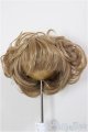 画像: 9inch/ウィッグ/インチ　BJD　MJD　ドール用 A-26-01-14-266-NY-ZA