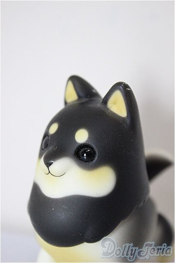 画像2: Studio L9&Arcadia/Mong!/BJD　球体関節人形 A-26-01-14-276-NY-ZA (2)