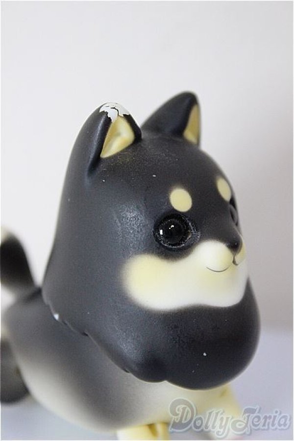 画像3: Studio L9&Arcadia/Mong!/BJD　球体関節人形 A-26-01-14-283-NY-ZA (3)