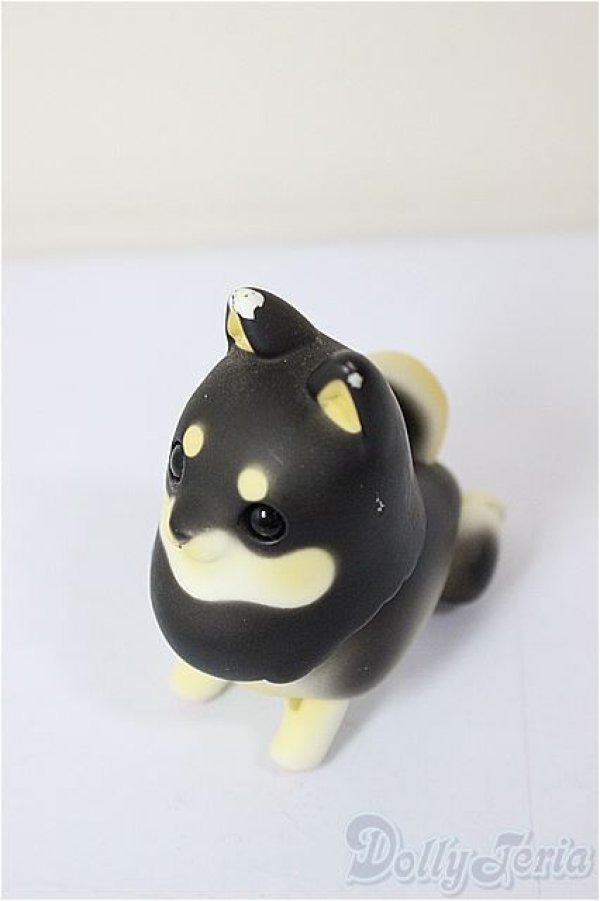 画像6: Studio L9&Arcadia/Mong!/BJD　球体関節人形 A-26-01-14-283-NY-ZA (6)