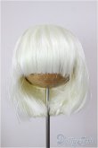 画像1: 9inch/DOLLCE ウィッグ/インチ　BJD　MJD　ドール用 A-26-01-21-211-NY-ZA (1)