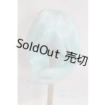 画像: 8-9inch/ウィッグ/インチ　BJD　MJD　ドール用 A-26-01-28-052-NY-ZA