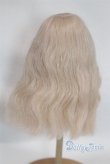 画像2: 8-9inch/ウィッグ/インチ　BJD　MJD　ドール用 A-26-01-28-051-NY-ZA (2)
