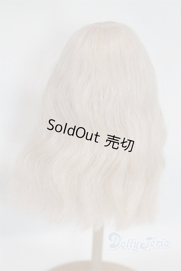 画像2: 8-9inch/ウィッグ/インチ　BJD　MJD　ドール用 A-26-01-28-051-NY-ZA (2)