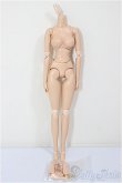 画像1: 27ｃｍサイズ/女性ボディ/ A-26-01-14-322-NY-ZA (1)