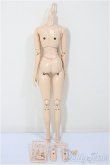 画像2: 27ｃｍサイズ/女性ボディ/ A-26-01-14-321-NY-ZA (2)