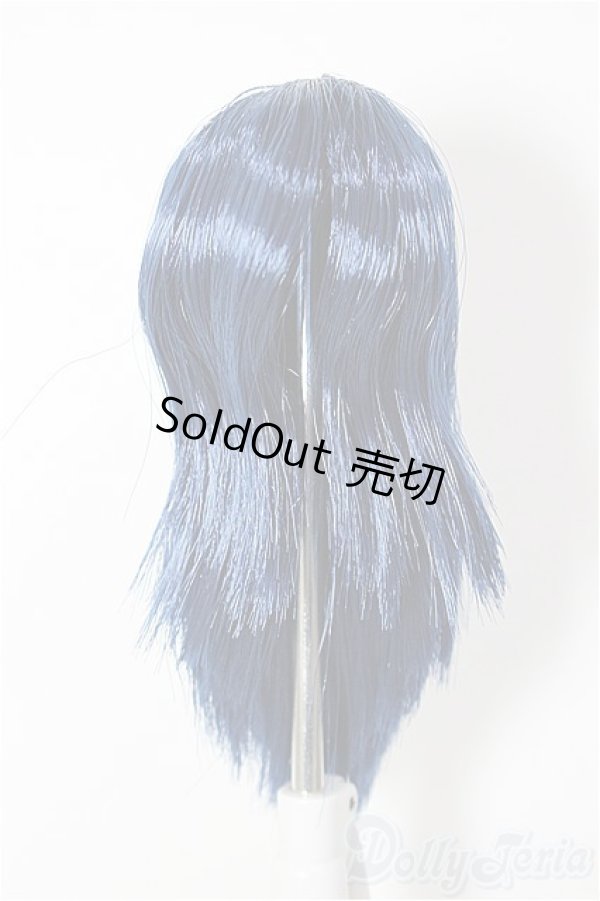 画像1: 1/6サイズ/植毛ウィッグ/ A-26-01-14-315-NY-ZA (1)