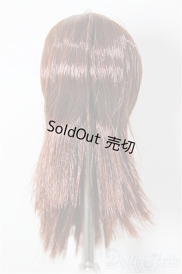 画像1: 1/6サイズ/植毛ウィッグ/ A-26-01-14-316-NY-ZA (1)