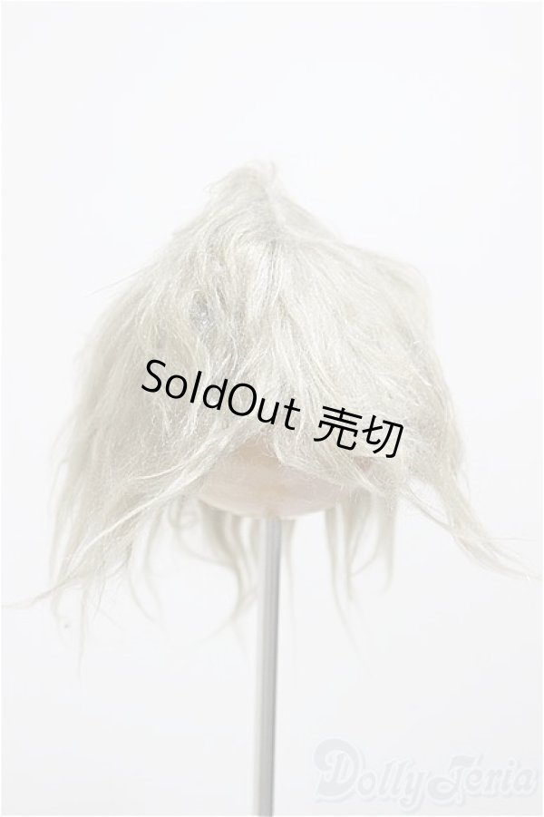 画像1: 6-7inch/ウィッグ/インチ　BJD　MJD　ドール用 A-26-01-14-112-NY-ZA (1)