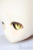 画像3: DD/DDH-01:カスタムヘッド/BJD　球体関節人形 A-26-01-14-230-NY-ZA (3)