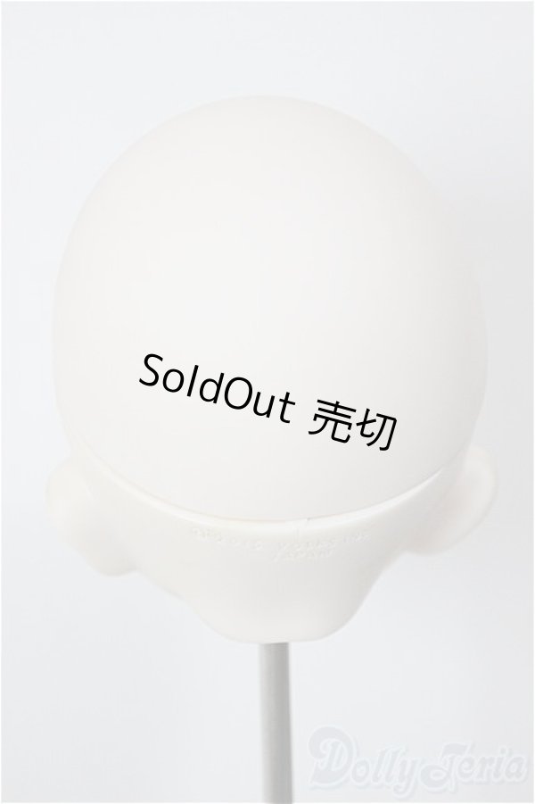 画像4: DD/DDH-10 (カスタマー様)カスタムヘッド/BJD　球体関節人形 A-26-01-21-207-NY-ZA (4)