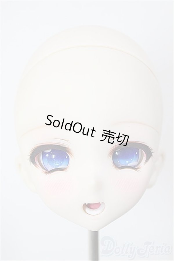 画像1: DD/DDH-10 (カスタマー様)カスタムヘッド/BJD　球体関節人形 A-26-01-21-214-NY-ZA (1)