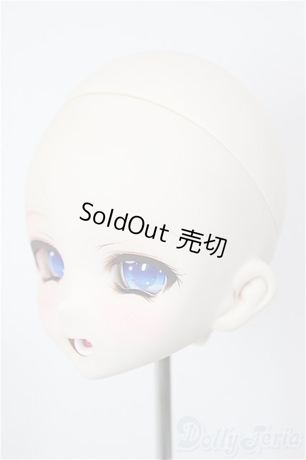 画像3: DD/DDH-10 (カスタマー様)カスタムヘッド/BJD　球体関節人形 A-26-01-21-214-NY-ZA (3)