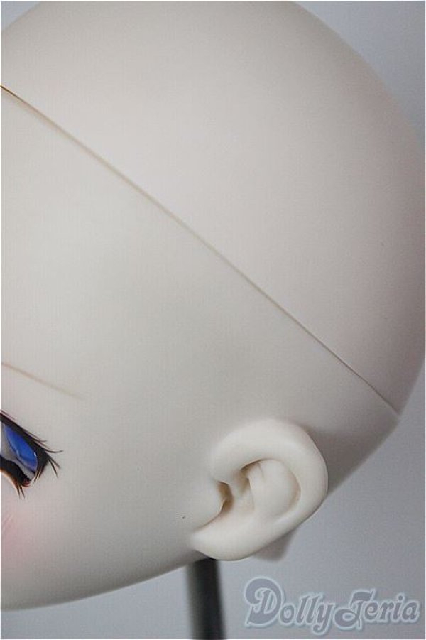 画像5: DD/DDH-10 (カスタマー様)カスタムヘッド/BJD　球体関節人形 A-26-01-21-214-NY-ZA (5)