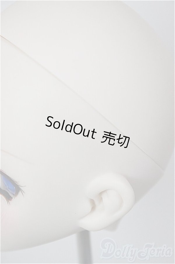 画像5: DD/DDH-10 (カスタマー様)カスタムヘッド/BJD　球体関節人形 A-26-01-21-214-NY-ZA (5)