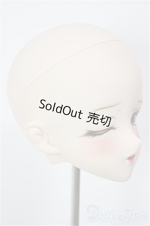 画像2: DDH-09カスタムヘッド/BJD　球体関節人形 A-26-01-21-208-NY-ZA (2)