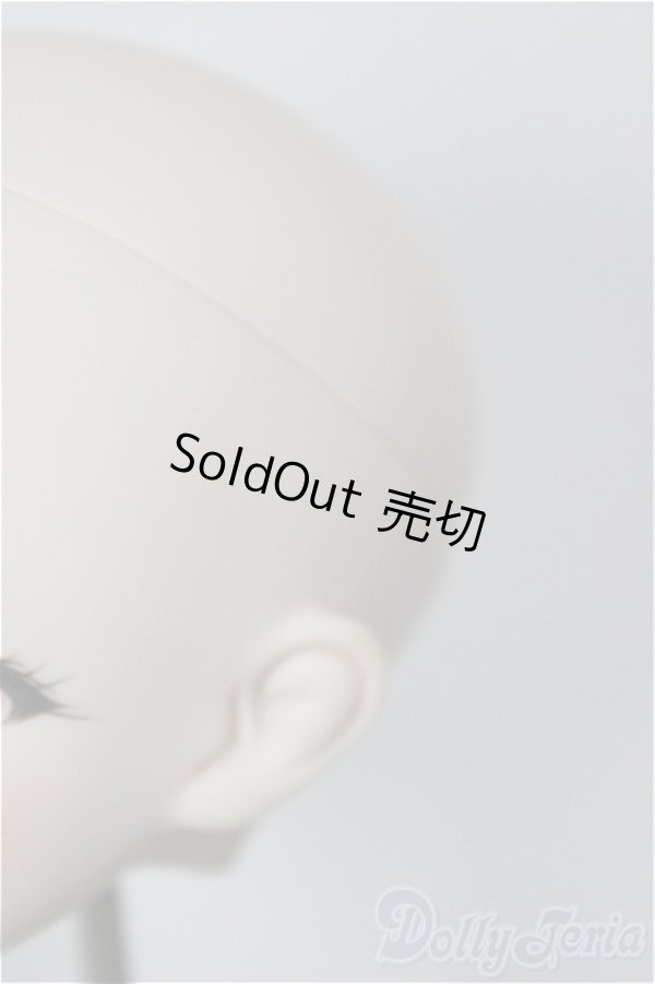 画像5: DDH-09カスタムヘッド/BJD　球体関節人形 A-26-01-21-208-NY-ZA (5)