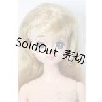 画像: オオイケ/エリーナ本体 A-26-05-19-544-NY-ZA