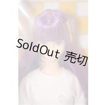 画像: リカちゃんキャッスル/シオン　2011年1月 DS30 モデル /BJD　球体関節人形 A-26-01-21-110-NY-ZA