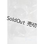 画像: 秘境巡礼/髪の毛パーツ/ A-26-01-28-095-NY-ZA