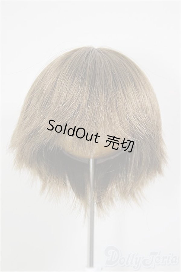 画像1: 8-9inch/ウィッグ/インチ　BJD　MJD　ドール用 A-26-01-14-233-NY-ZA (1)