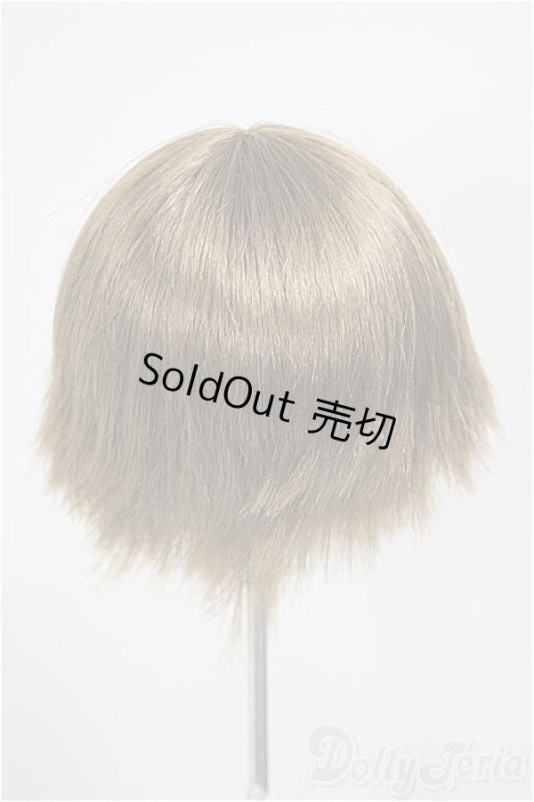 画像2: 8-9inch/ウィッグ/インチ　BJD　MJD　ドール用 A-26-01-14-233-NY-ZA (2)