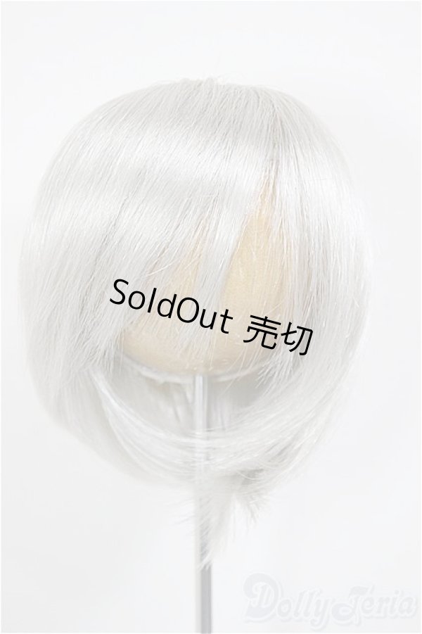 画像1: 9inch/ウィッグ/インチ　BJD　MJD　ドール用 A-26-01-14-242-NY-ZA (1)