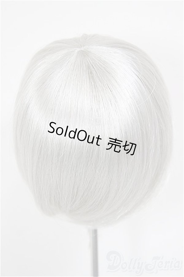 画像2: 9inch/ウィッグ/インチ　BJD　MJD　ドール用 A-26-01-14-242-NY-ZA (2)