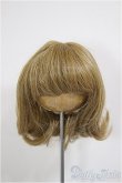 画像1: 8inch/ウィッグ/インチ　BJD　MJD　ドール用 A-26-01-14-241-NY-ZA (1)