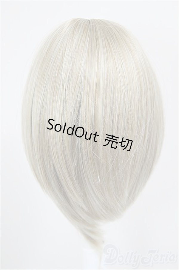 画像2: 8-9inch/ウィッグ　Hannasu製/インチ　BJD　MJD　ドール用 A-26-01-14-239-NY-ZA (2)