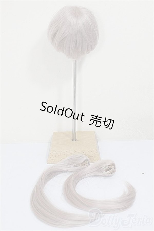 画像2: 8-9inch/ウィッグ/インチ　BJD　MJD　ドール用 A-26-01-14-166-NY-ZA (2)