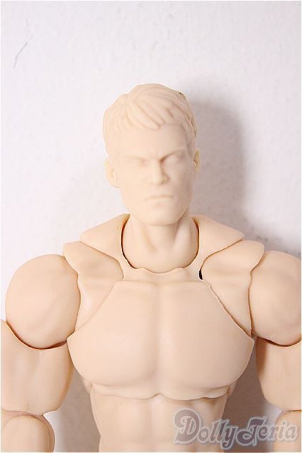 画像1: 1/12スケール/ 超可動フィギュア男性素体 [WIND TOYS]/ A-26-01-14-345-NY-ZA (1)