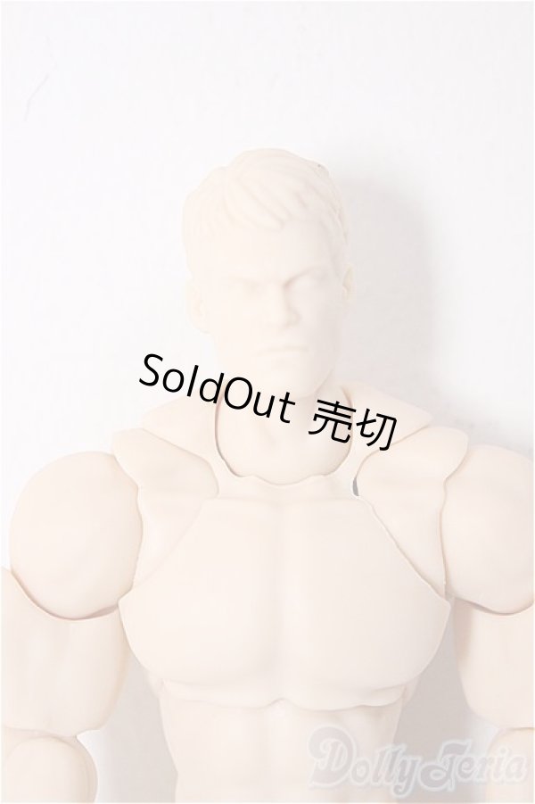 画像1: 1/12スケール/ 超可動フィギュア男性素体 [WIND TOYS]/ A-26-01-14-345-NY-ZA (1)