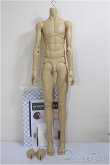 画像3: LUTS/Senior65 Delf Boy Body/BJD　球体関節人形 A-26-01-14-256-NY-ZA (3)