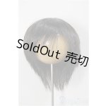 画像: 8-9inch/ウィッグ/インチ　BJD　MJD　ドール用 A-26-01-14-261-NY-ZA