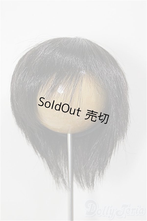 画像1: 8-9inch/ウィッグ/インチ　BJD　MJD　ドール用 A-26-01-14-261-NY-ZA (1)