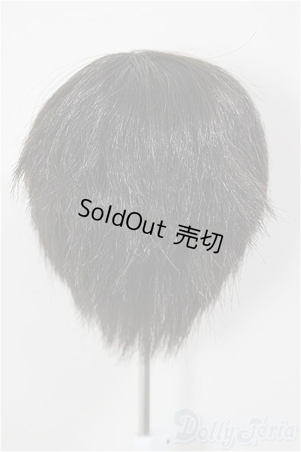 画像2: 8-9inch/ウィッグ/インチ　BJD　MJD　ドール用 A-26-01-14-261-NY-ZA (2)