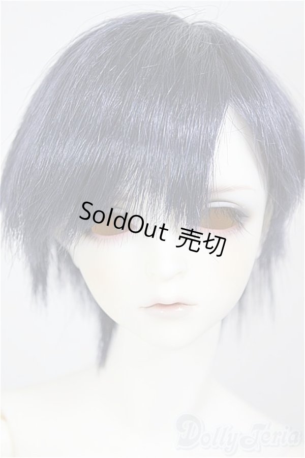 画像1: SDGrB/フルチョイス:F-105(つきみ様メイク)/BJD　球体関節人形 A-26-01-14-211-NY-ZA (1)