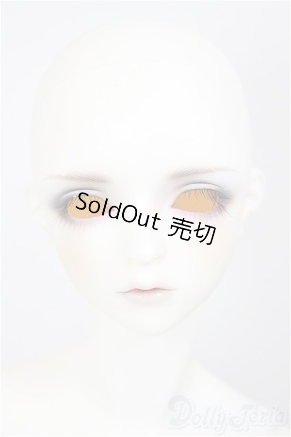 画像2: SDGrB/フルチョイス:F-105(つきみ様メイク)/BJD　球体関節人形 A-26-01-14-211-NY-ZA (2)