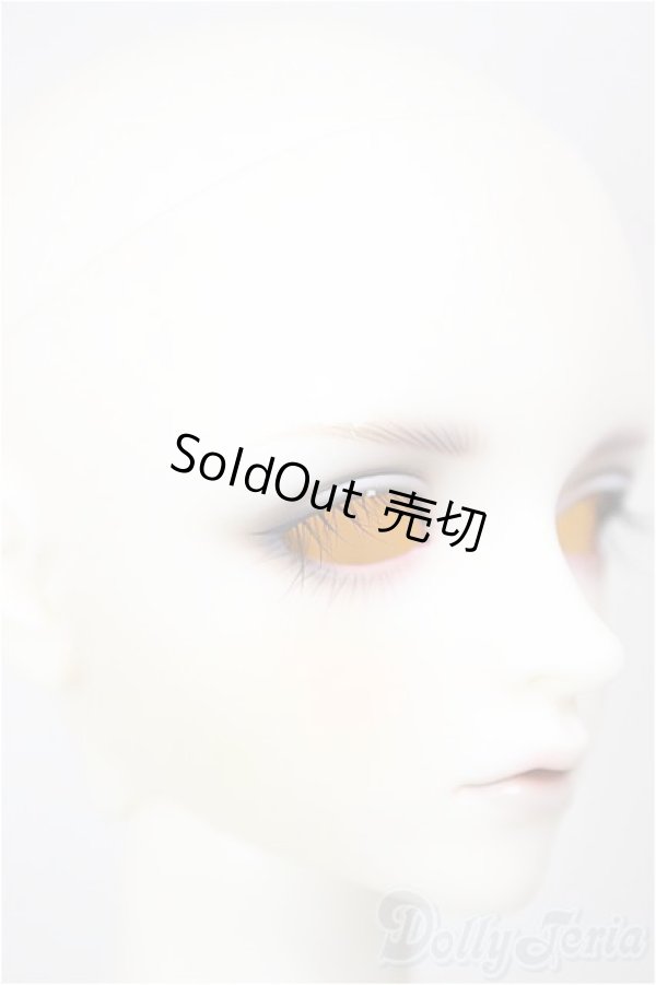 画像3: SDGrB/フルチョイス:F-105(つきみ様メイク)/BJD　球体関節人形 A-26-01-14-211-NY-ZA (3)