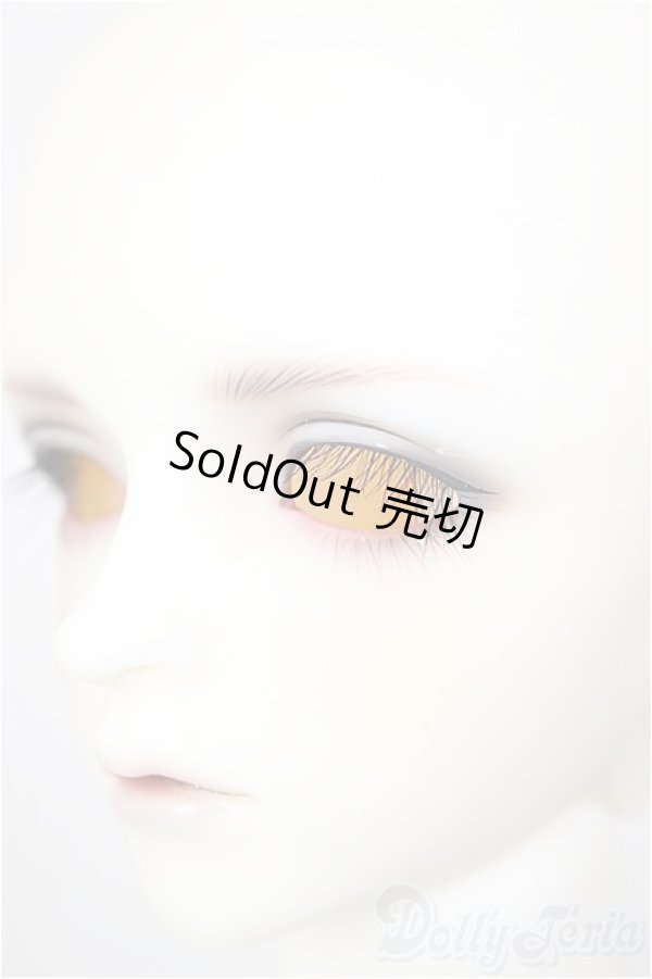 画像4: SDGrB/フルチョイス:F-105(つきみ様メイク)/BJD　球体関節人形 A-26-01-14-211-NY-ZA (4)