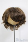 画像1: 8-9inch/W-171D-2:ウィッグ/インチ　BJD　MJD　ドール用 A-26-01-14-226-NY-ZA (1)