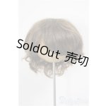 画像: 8-9inch/W-171D-2:ウィッグ/インチ　BJD　MJD　ドール用 A-26-01-14-226-NY-ZA